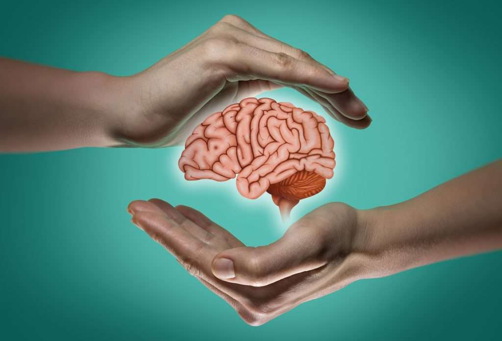 brain protection and intellectual rights concept.